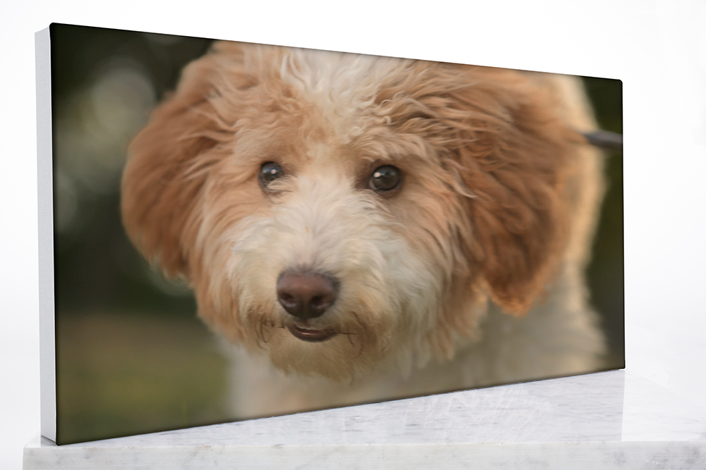 Gallery-Wrapped Canvas