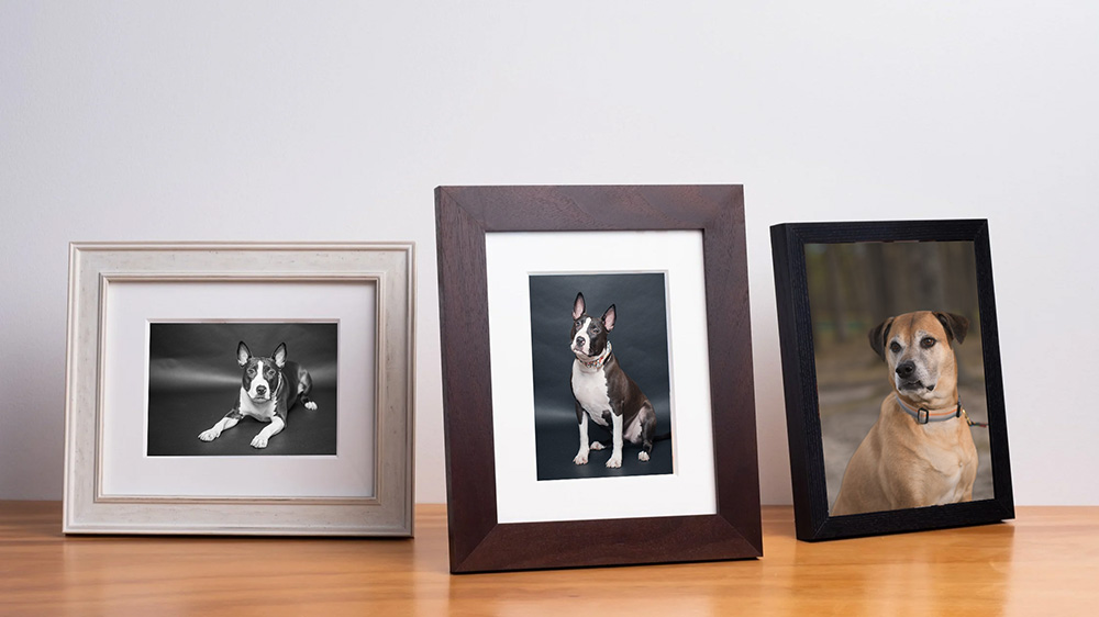 Heirloom Framed Prints